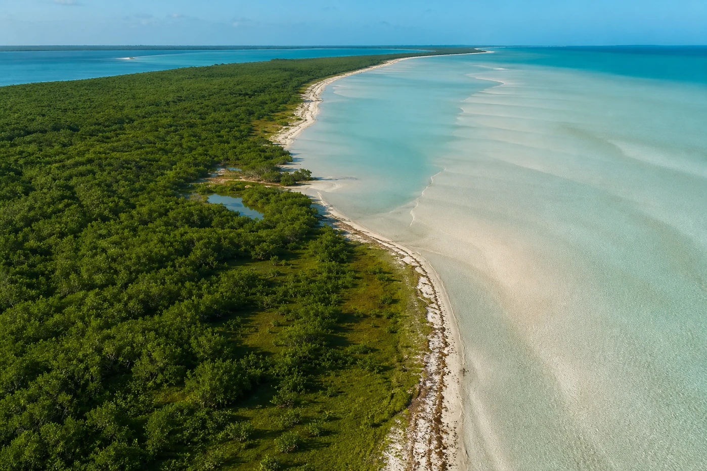 Costa de Isla Holbox vista desde el aire, con manglar y una franja de arena