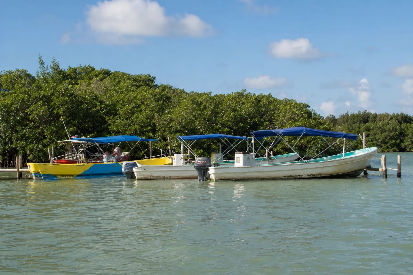 Lanchas de tour amarradas frente al manglar de la laguna de Holbox